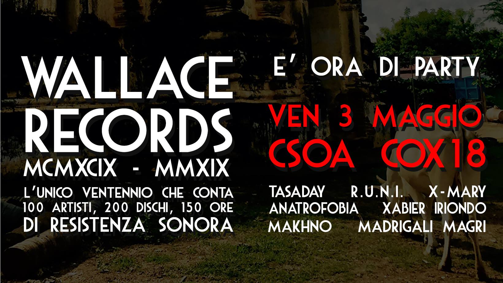 56944964_2300507973345174_6672227373598900224_o